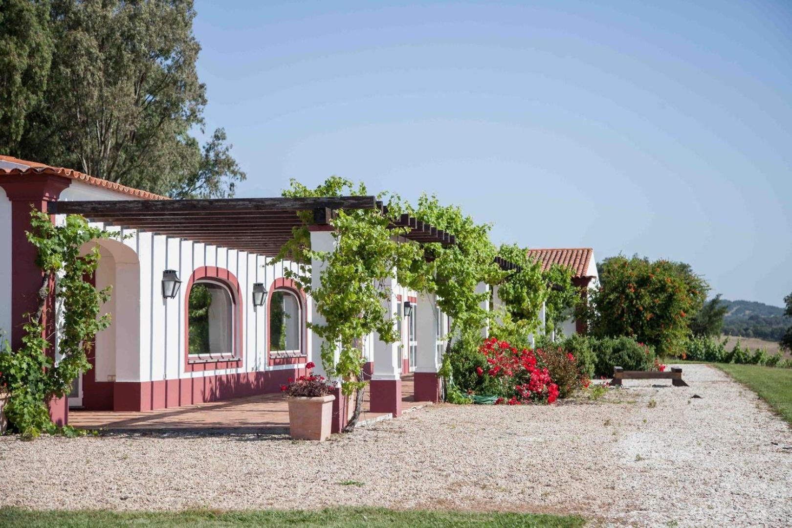 Stunning Mansion In Sao Cristovao Villa Montemor-o-Novo Exteriör bild
